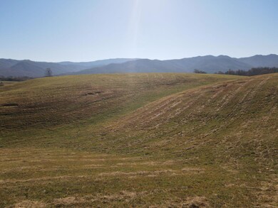 DJI_0542