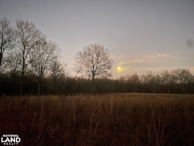 1444 Co Rd 441, Wilsonville, AL 35186 - photo 3