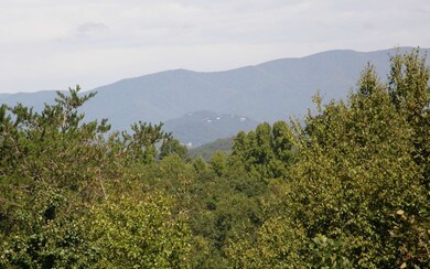 Additional View