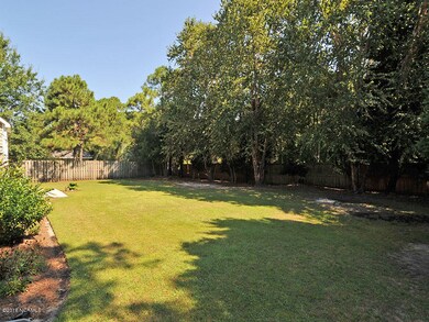 Backyard 2