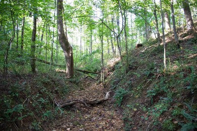 130 Swallows Ln, Cookeville, TN 38506 - photo 4