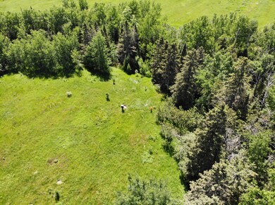DJI_0069