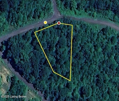 0 Ridenours Way GOOGLE AERIAL 1