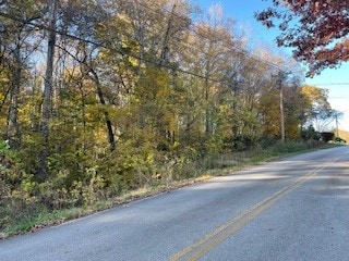 6 Lakeshore Dr, McMinnville, TN 37110 - photo 3