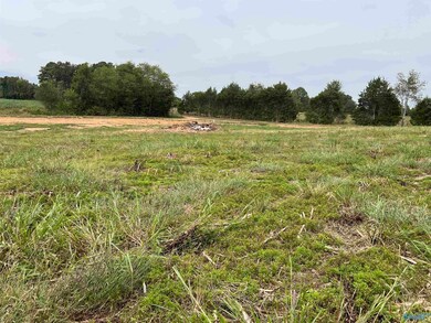 21638 Holland Rd, Athens, AL 35614 - photo 3