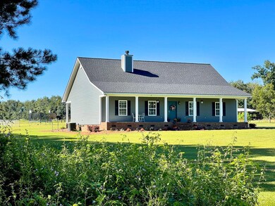 14183 Georgia 93, Baconton, GA 31716 - photo 3