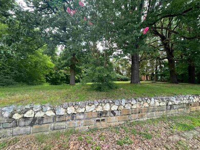 715 N Market St unit 711, Benton, AR 72015 - photo 6