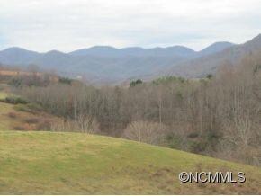 20 & 24 Pearl Mountain Ridge, Leicester, NC 28748 - photo 4