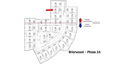 1053 Briarwood Dr, Oxford, MS 38655 - photo 4