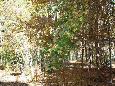 0 Madison 5540 unit 719940, Elkins, AR 72727 - photo 4