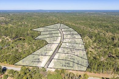 128 Beagle Chase Dr, Appling, GA 30802 - photo 2