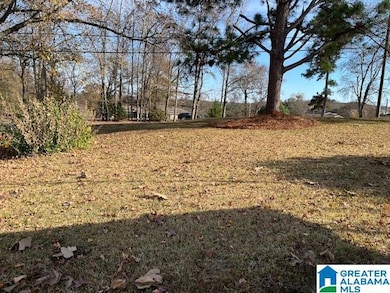 124 Pleasant Grove Rd, Pleasant Grove, AL 35127 - photo 2