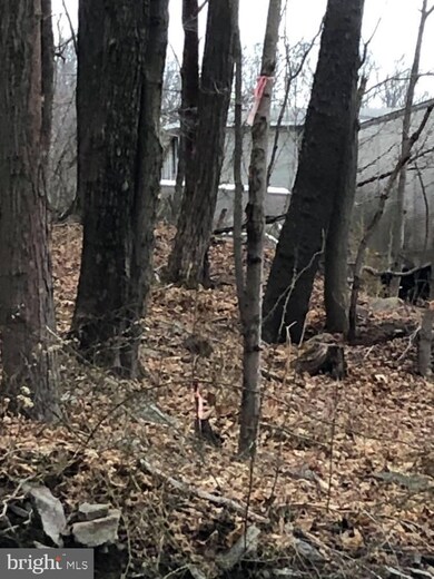 729 Stony Run Rd, Keyser, WV 26726 - photo 7