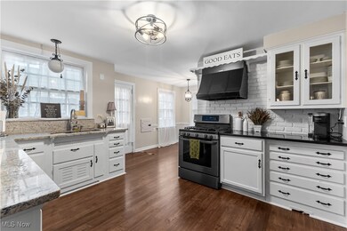 Kitchen with hardwood floors, modern appliances, modern sink and modern light fixtures