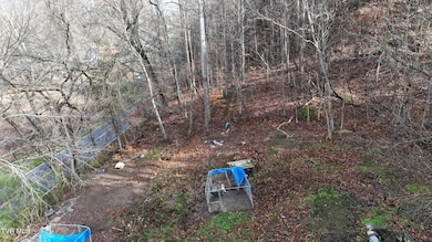 1704 N Main Ave, Erwin, TN 37650 - photo 5