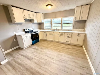 53 County Road 459, Crossville, AL 35962 - photo 3