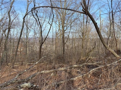 0 Andrew Mountain Rd unit 170603648, Naugatuck, CT 06770 - photo 7