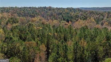 0 Jones Ferry Rd unit 10649572, Palmetto, GA 30268 - photo 3