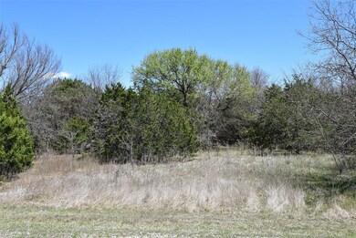 4115 Whitecrest Dr, Whitney, TX 76692 - photo 2