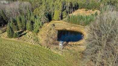 Lot 1 & 2 Maple Ln, Grant, WI 54486 - photo 2