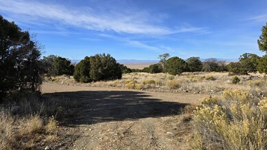 126 Cedar Ridge Rd unit 2, Mosca, CO 81146 - photo 6