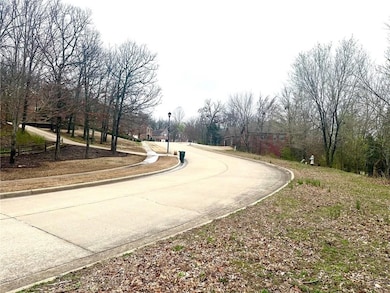 189 N Skyview Ln, Fayetteville, AR 72701 - photo 4