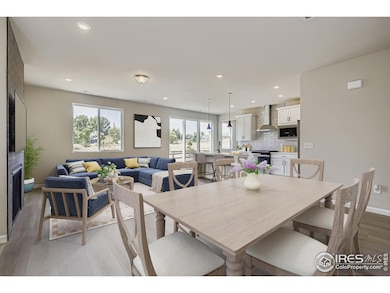 1821 Cord Grass Dr, Fort Collins, CO 80524 - photo 5