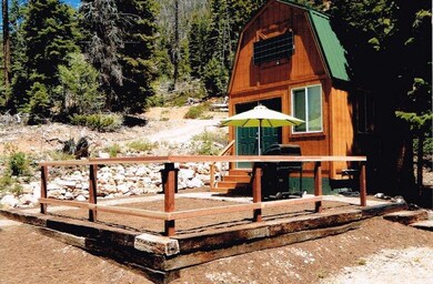 3-View of Lot and Shed