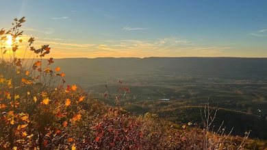 0 Tatum Gulf Rd unit 1524943, Menlo, GA 30731 - photo 2
