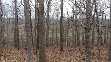 0 County Road 423, Epps Township, MO 63901 - photo 5