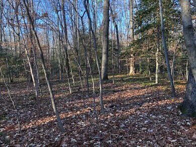 0 New Kent Hwy unit 2203199, New Kent, VA 23141 - photo 6