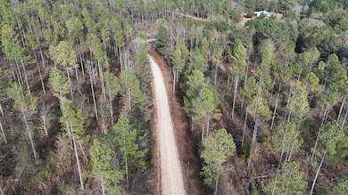 County Road 176, Piedmont, AL 36272 - photo 7