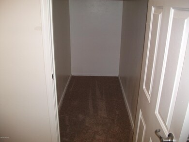 Storage closet under the stairs