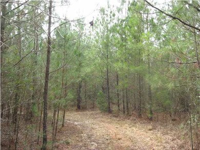 GREAT HUNTING PROPERTY