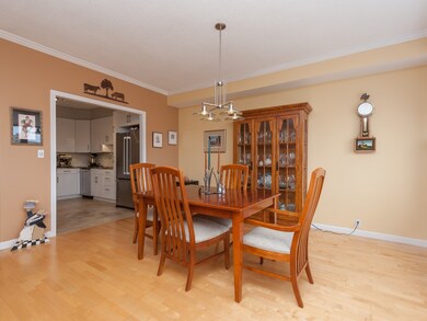 Imperial Towers unit 3, Chestnut Hill, MA 02467 - photo 7