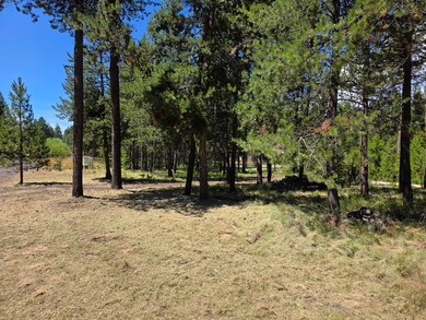 17168 Azusa Rd, Three Rivers, OR 97707 - photo 6