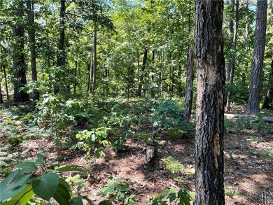 0 Hawnby Ln unit 1222950, Bella Vista, AR 72715 - photo 4