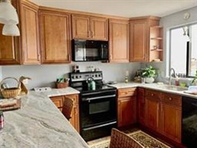 The Lakeshore Condominiums unit 224, Worcester, MA 01604 - photo 2