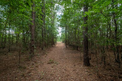 MCCORMICK LAND - SERPENTINE ©-2988