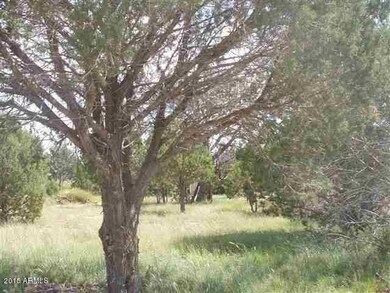 pinedale land5