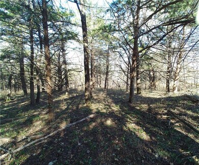 00000 W 379th St, Osawatomie, KS 66064 - photo 3