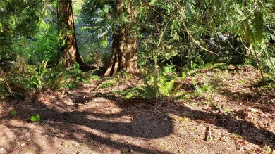 750 West Rd, Sedro Woolley, WA 98284 - photo 5