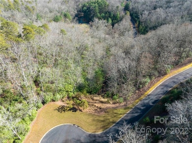 000 Mills River Way unit 101, Horse Shoe, NC 28742 - photo 6