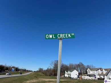 168 Owl Creek Dr, Vine Grove, KY 40175 - photo 5