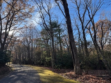 TBD Crooked White Oak Tr, Hillsville, VA 24343 - photo 6