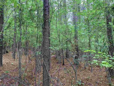 0 Palm Hill Rd unit 1340275, Brandon, MS 39042 - photo 6