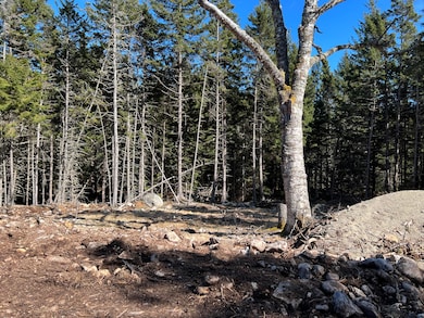 7-2C Main St, Isle Au Haut, ME 04645 - photo 5