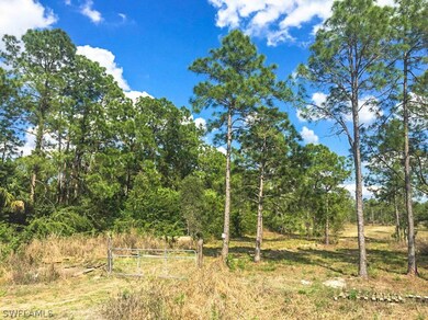 21051 Carter Rd, Estero, FL 33928 - photo 2