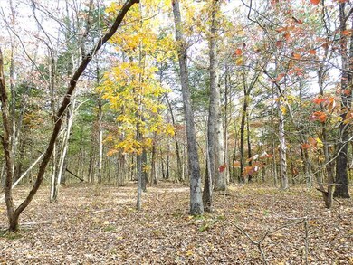 Tbd Eswine Rd, Tecumseh, MO 65760 - photo 4