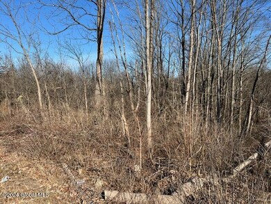 1171 Maple Hill Vacant Land2